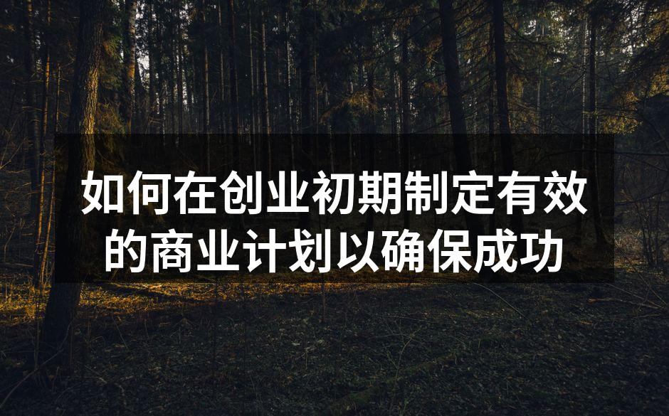 如何在创业初期制定有效的商业计划以确保成功